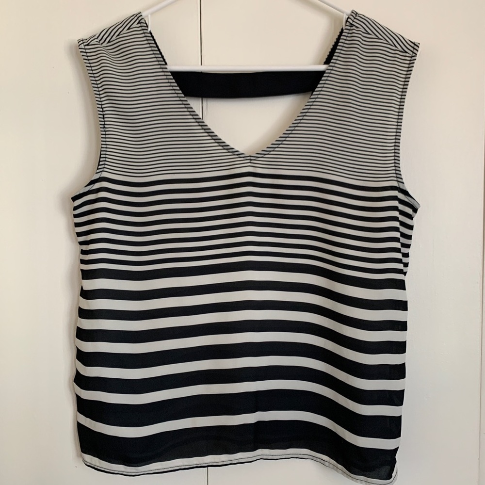 The Limited Blouse